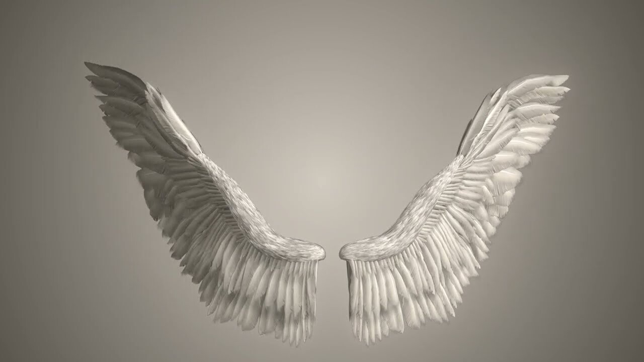 Wings final. Крылья ангела футаж. Футаж крыльев. Футаж крыльев ангела видео. Потрёпаные Крылья ангела 3d модель.