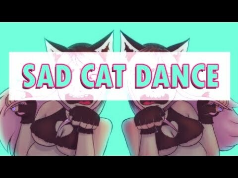sad cat dance gacha