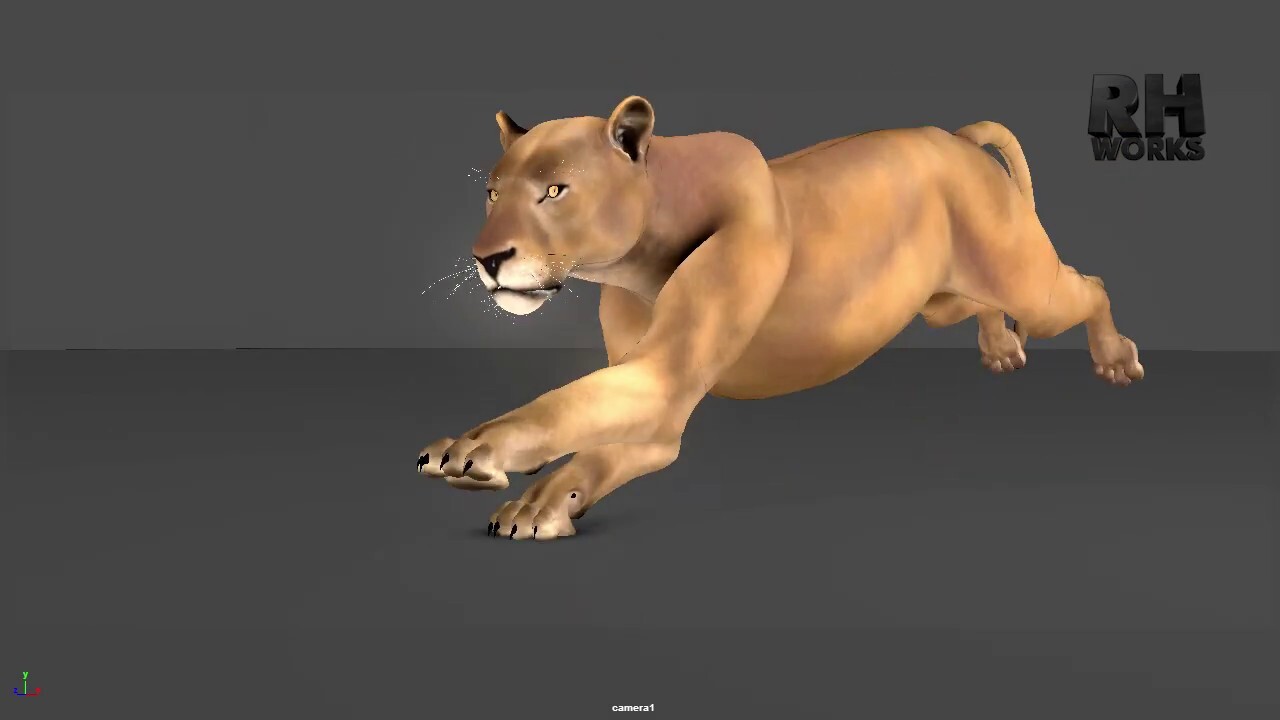 Лев ран. Lion Rigging for Maya.