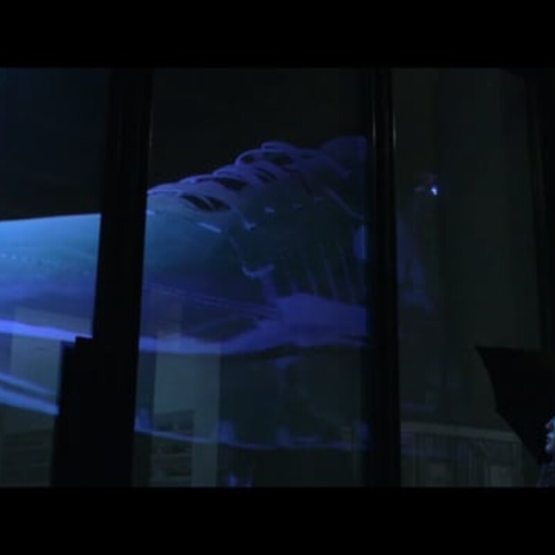 Adidas Nite Joggers Window Hologram