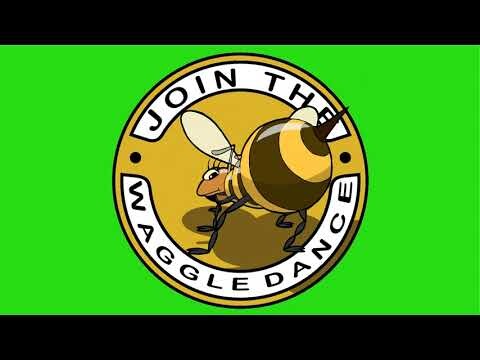 "The WAGGLE DANCE" ~logo design/animation