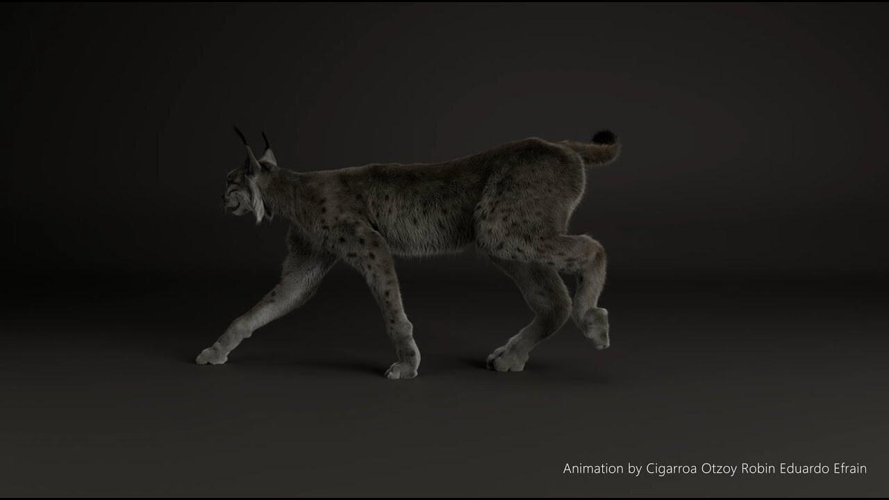 ArtStation - Eurasian Lynx Creature FX