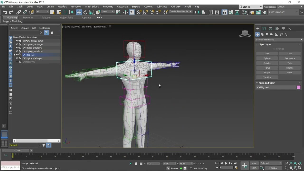 ArtStation - CAT rig