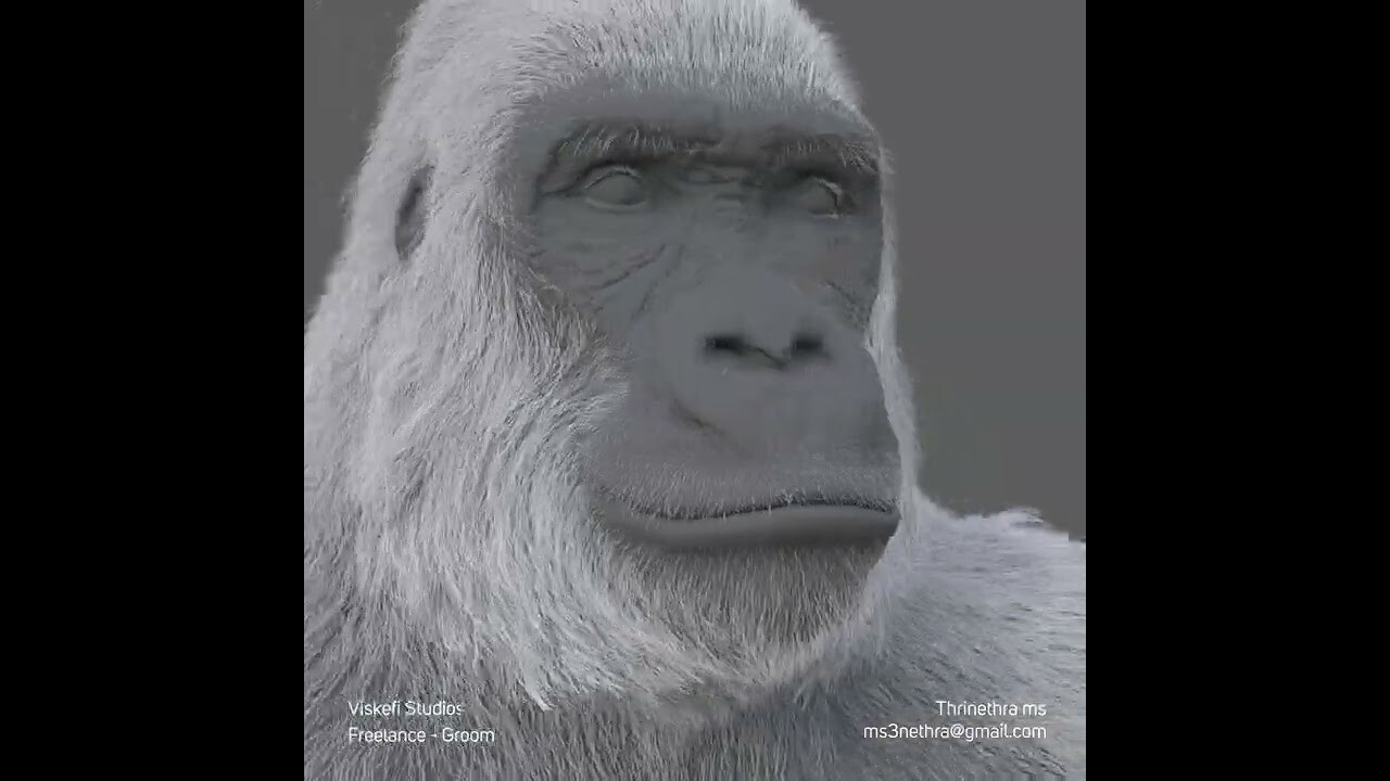 ArtStation - Gorilla | Groom