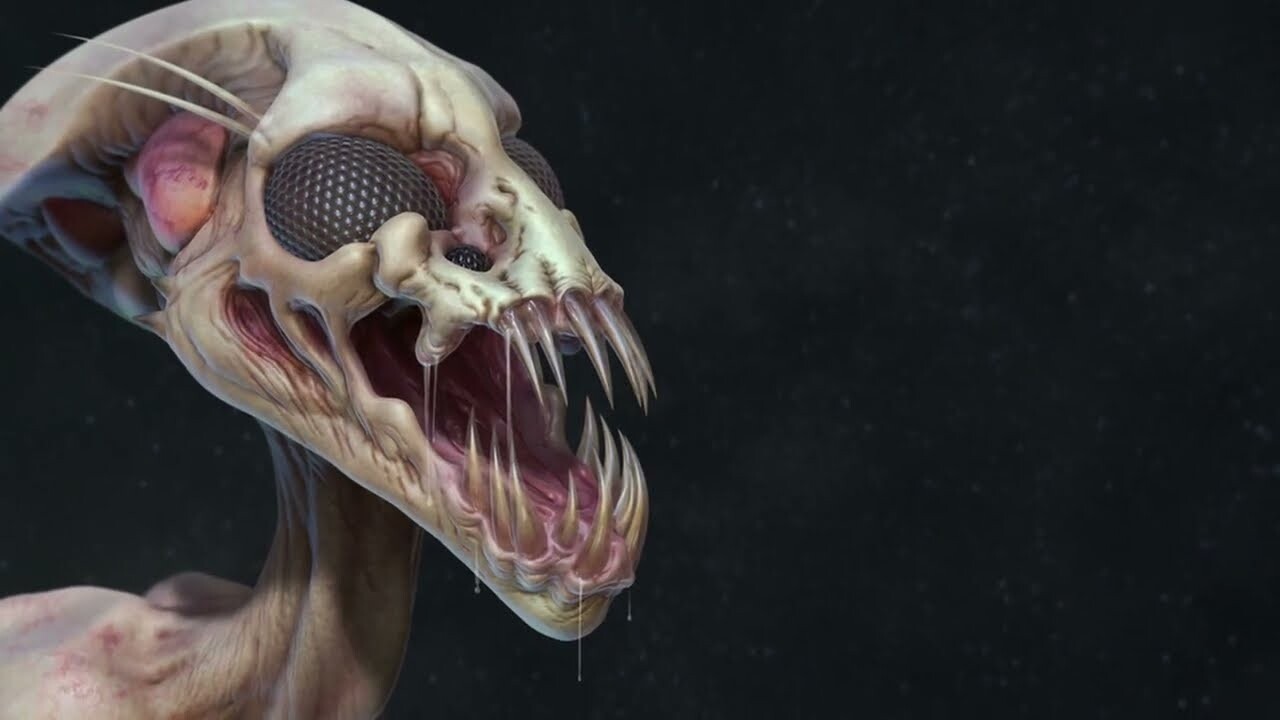 Video : Creature Concept 2023