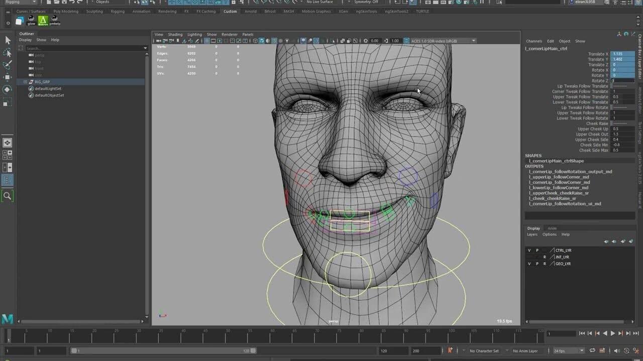Face Rig Tool