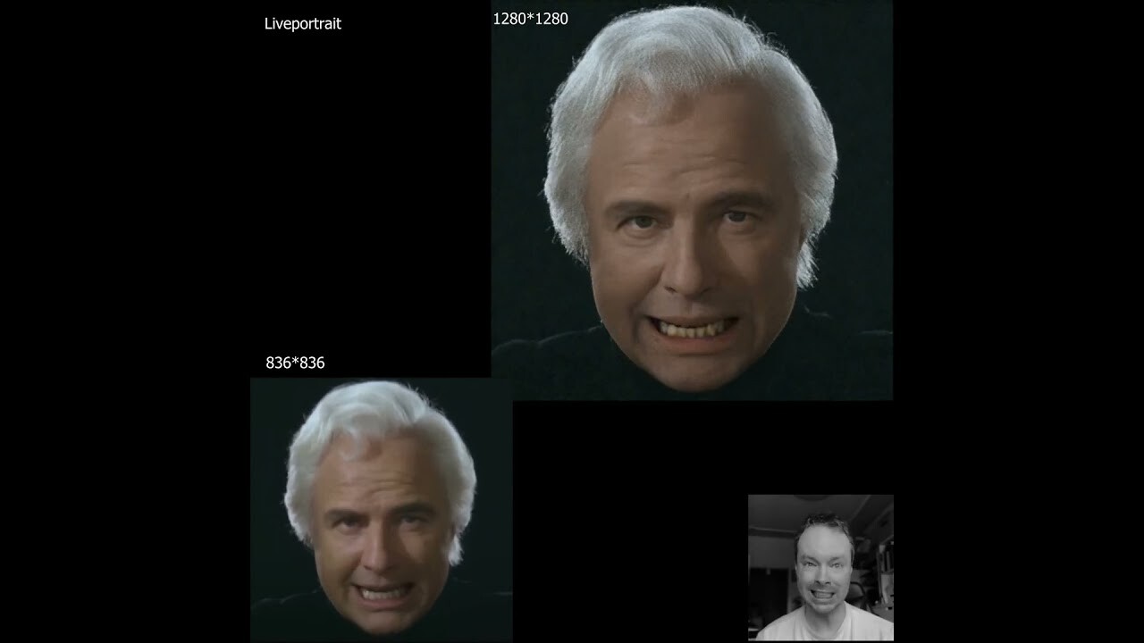 Liveportrait Tests