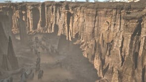 Mufasa : head of Snake Environment