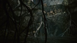 Cave - Environment
