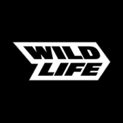 Art Director at Wildlife Studios
