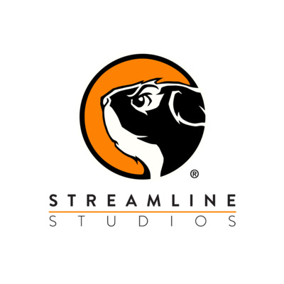 UI/UX Designer at Streamline Studios