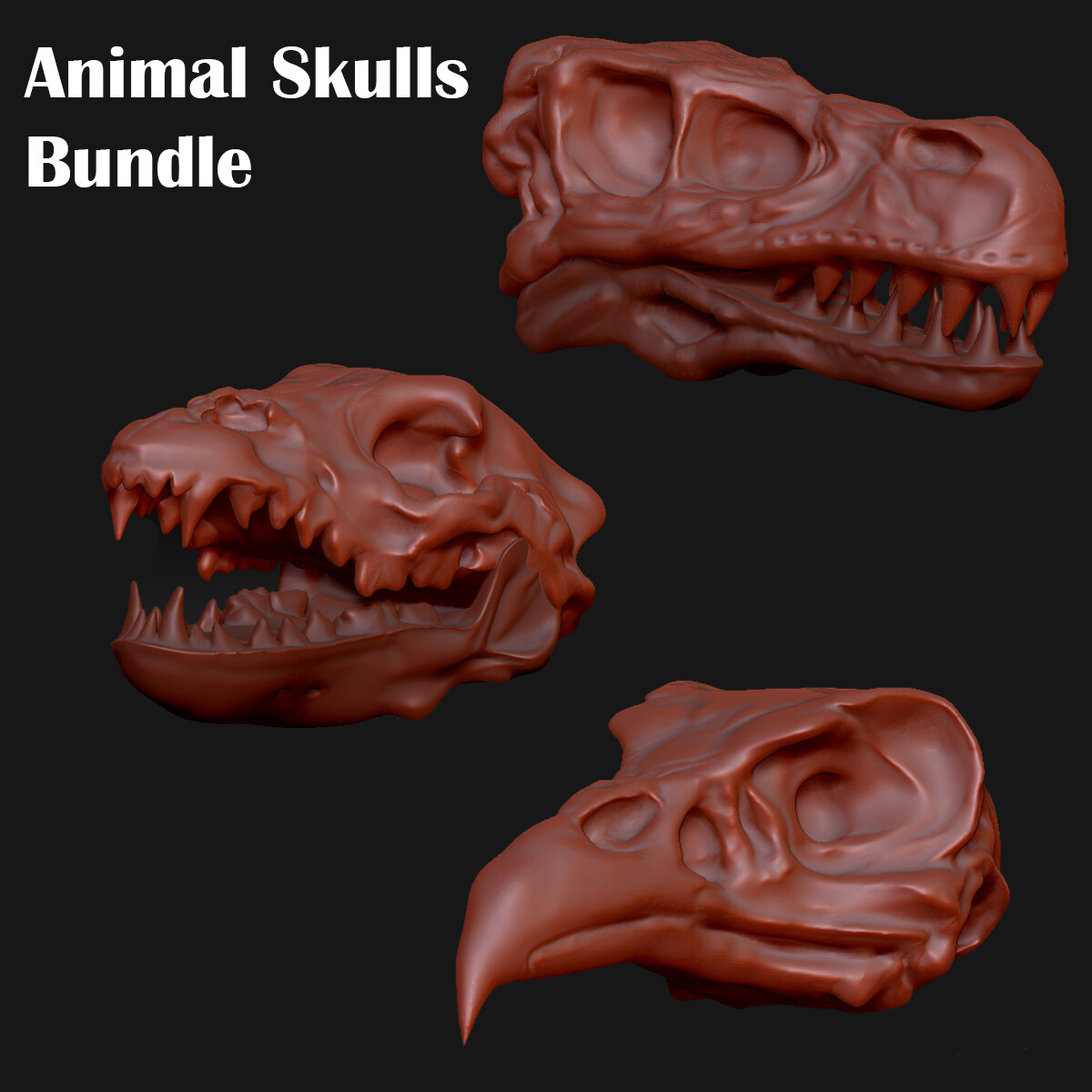 Animal Skulls - ArtStation