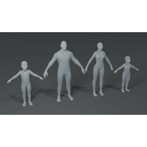 Standard Human Body Base Mesh 3D Model