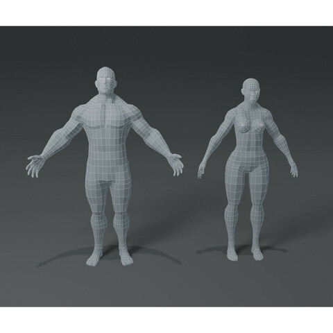 Superhero Muscular Human Male Female Body Base Mesh 3D Model