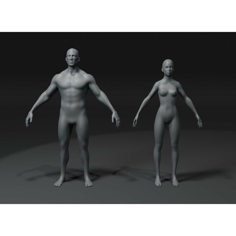 Male and Female Body Base Mesh 3D Model 20k Polygons Bundle