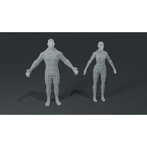 Muscular Human Body Base Mesh 3D Model Bundle 1000 Polygons