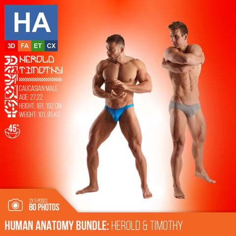 Human Anatomy Bundle | Herold & Timothy