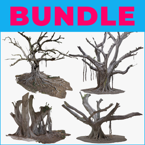 4 GIANT FICUS TREES - 3D MODELS BUNDLE - EXTENDED COMMERCIAL LICENSE