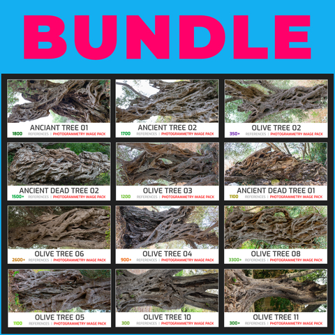 12 OLIVE TREES - PHOTOGRAMMETRY IMAGE PACKS BUNDLE - EXT. COMMERCIAL LICENSE