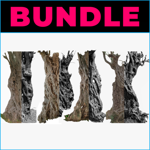 4 OLIVE TREES - 3D MODELS BUNDLE - STANDARD USE LICENSE