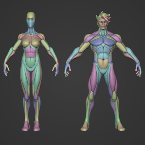 Stylized Warriors Anatomy (Male and Female)