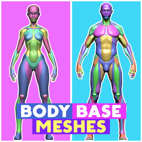 Body base meshes bundle