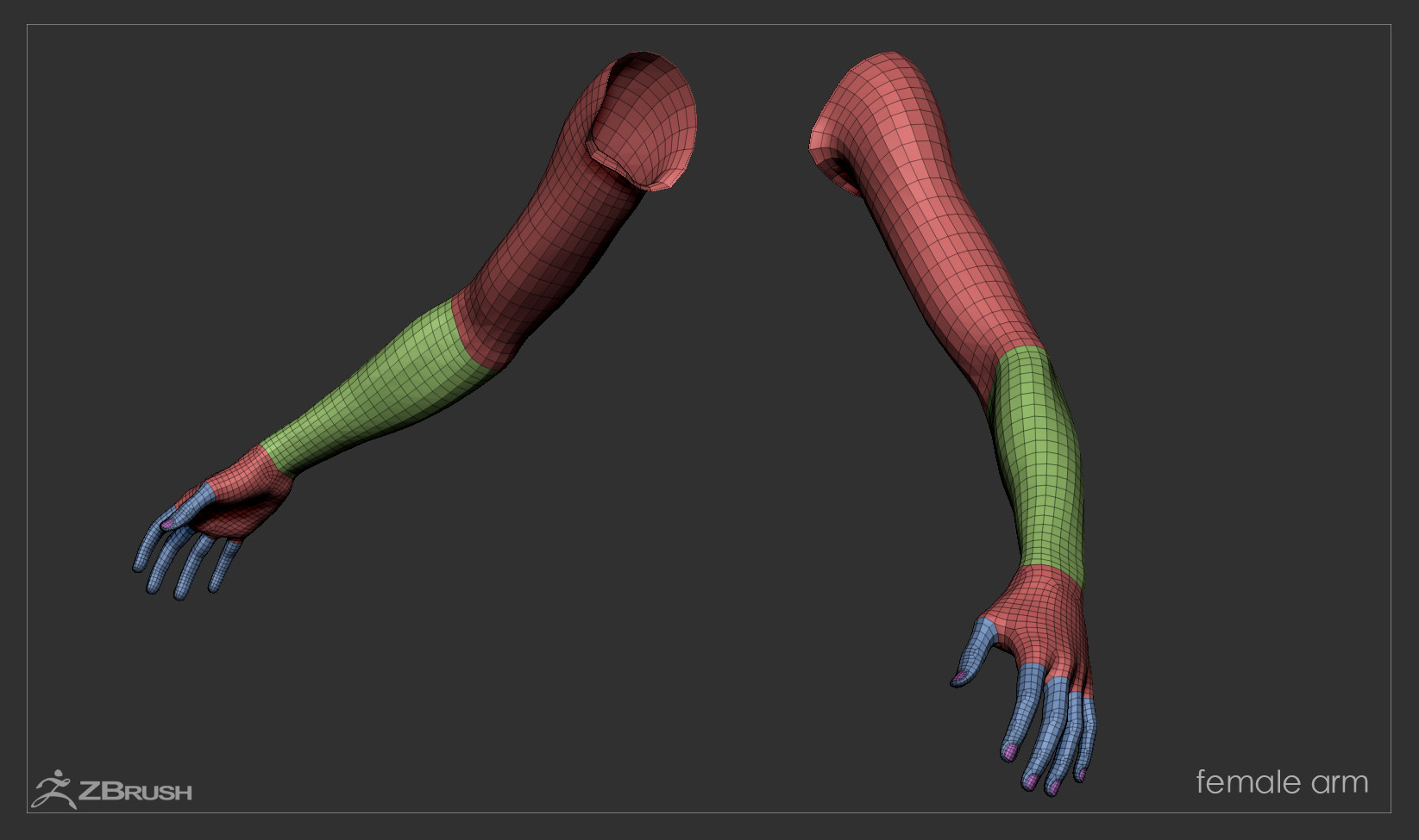 Firstpersonarms zbrush 01