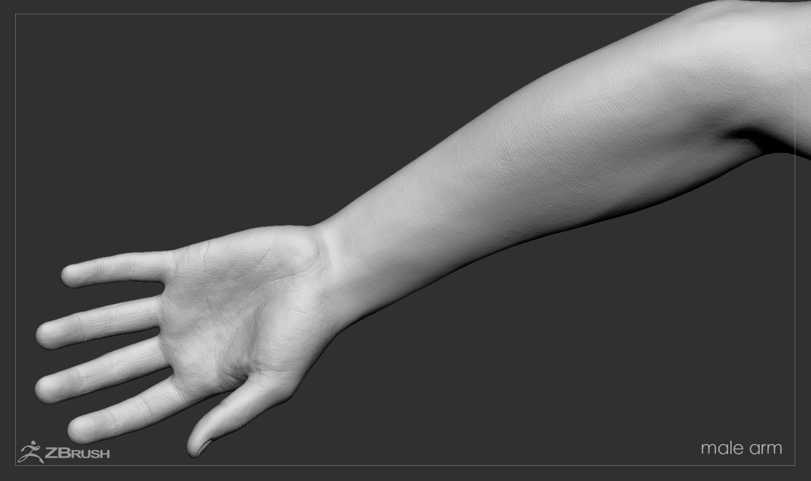 Firstpersonarms zbrush 15