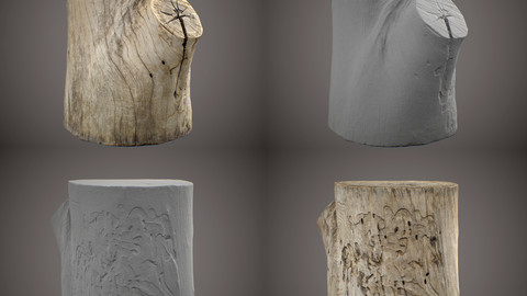 Wood Stump 01