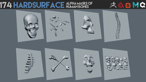 174 Hardsurface alpha masks of human bones