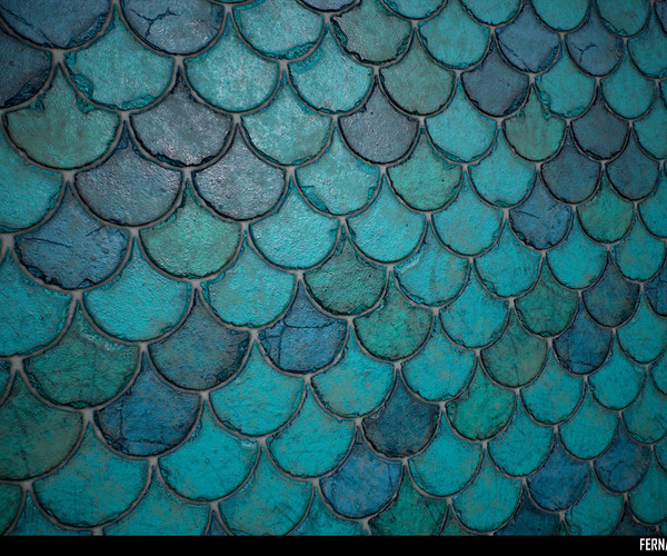 ArtStation - Fish Scale Wall Material in Substance Designer | Game Assets