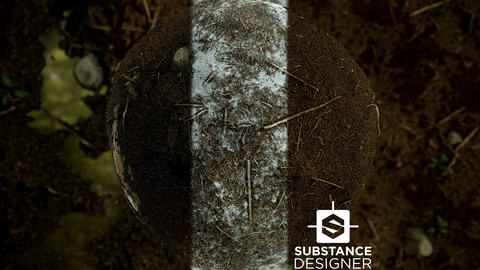 Forest Ground Snow, Water, Dry