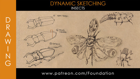 Foundation Art Group - Dynamic Sketching: Insects