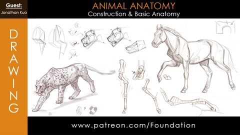 Foundation Art Group - Animal Anatomy - Construction & Basic Anatomy w/ Jonathan Kuo