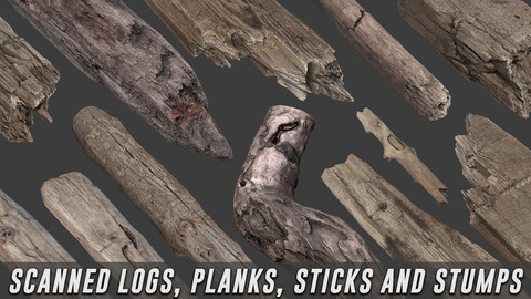 Scanned Logs, Planks, Sticks and Stumps