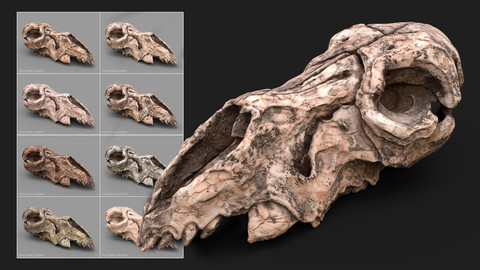 SP Smart Materials: Bone