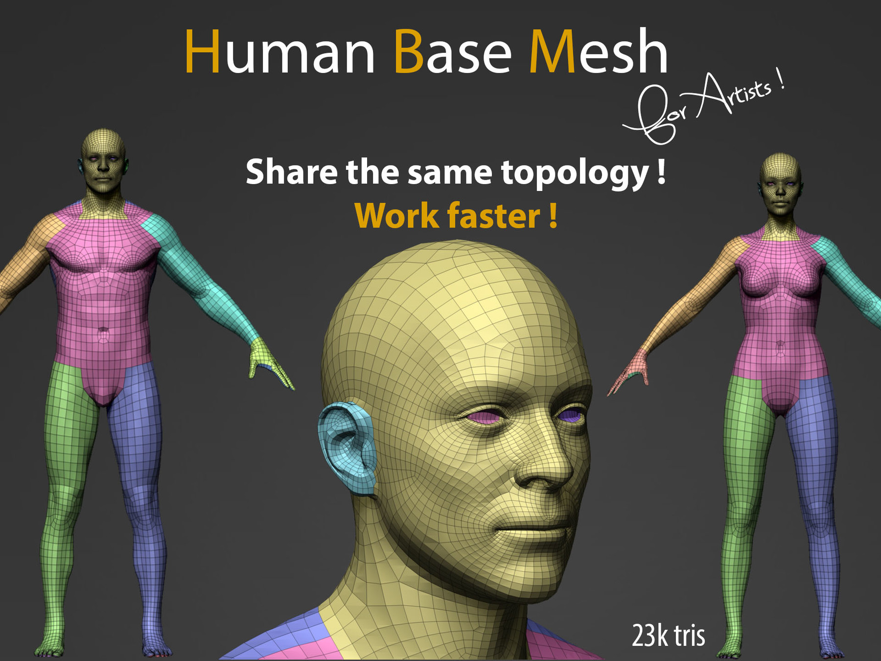 ArtStation - Human Base Mesh for artists ! | Resources