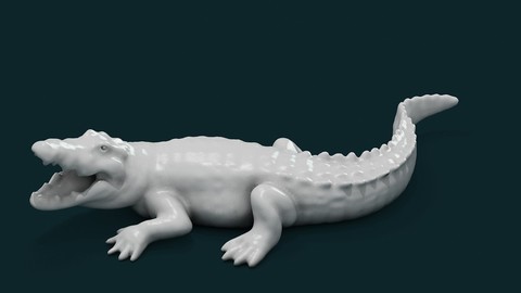 Alligator