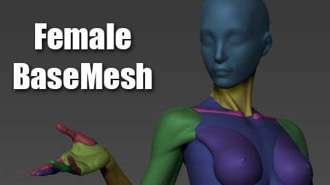 Female BaseMesh