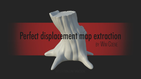 Perfect Displacement Map Extraction by Wim Coene