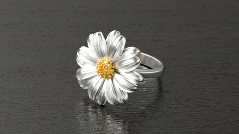 Bellis ring