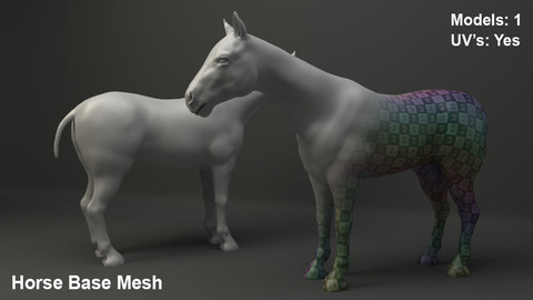 Horse Base Mesh