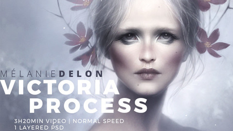 Victoria painting process