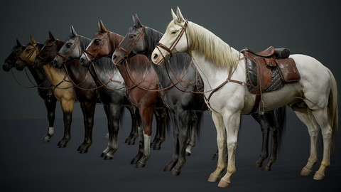 Real time horses Complete Files