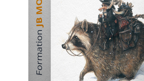 ILLUSTRATOR'S SECRETS VIDEO COURSE WITH JEAN BAPTISTE MONGE (english subtitles)