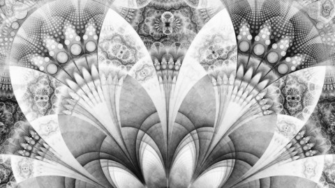 Black and White Fanned Feathers in Halftone Dots (8000 x 8000 pixel black and white fractal background)