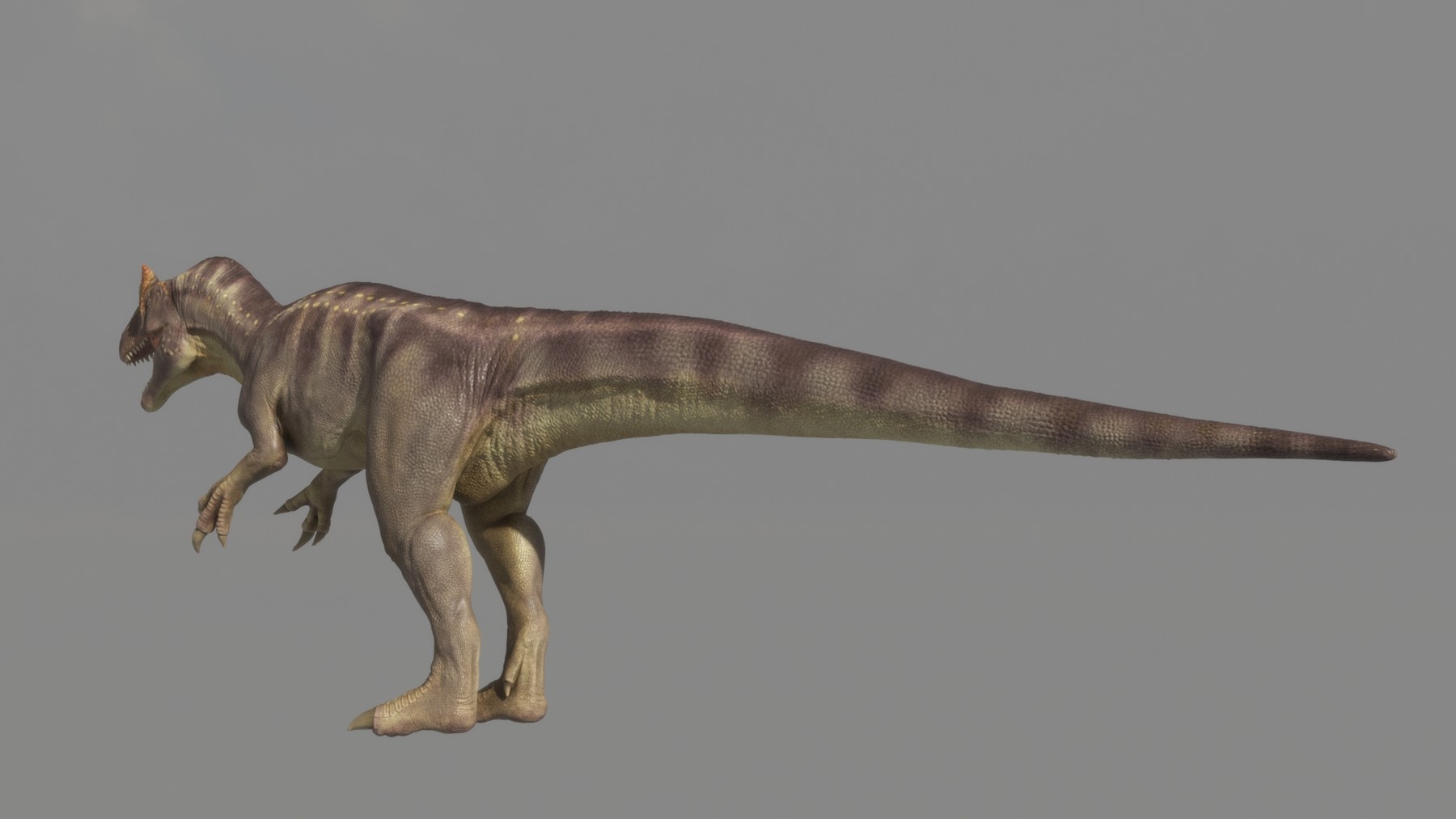 realistic allosaurus