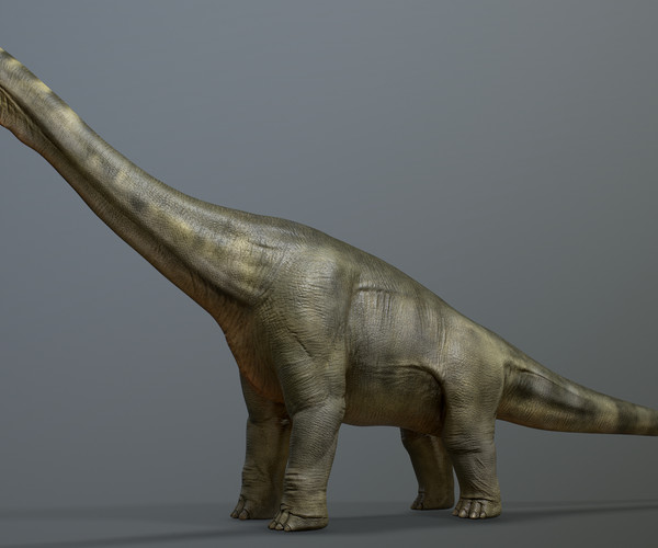 ArtStation - Brachiosaurus Dinosaur Maya Rig | Resources