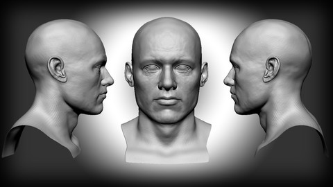 Male head base mesh