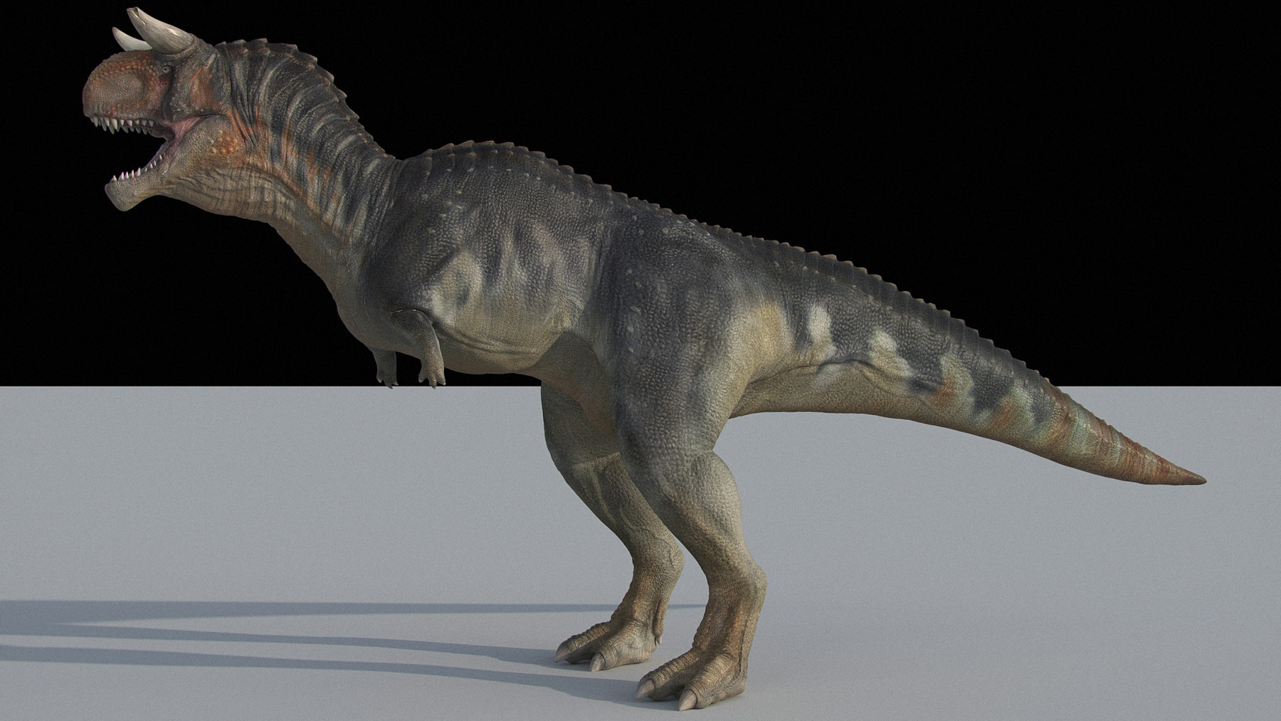 Carnotaurus Dinosaur Maya Rig.